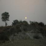 Vraj-Yatra-2014- (209)